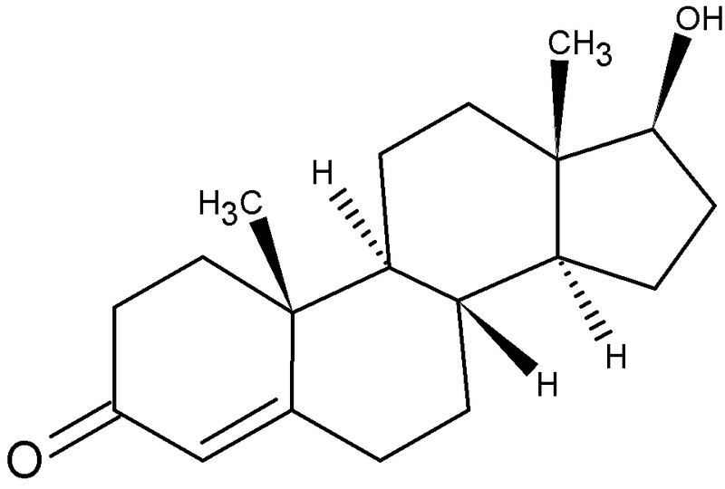 M nnerhormon Testosteron Was Genau Macht Das Hormon M nnerhormon Testosteron Was Genau Macht Das Hormon